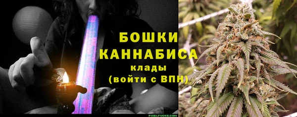 хмурый Магас
